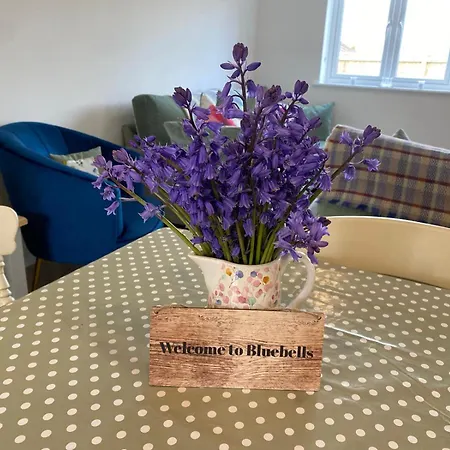Bluebells, Little Snoring Villa Fakenham Buitenkant foto